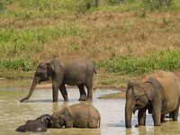 Klikni pro zv�t�en� na obrazovku