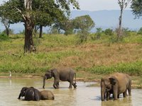 Klikni pro zv�t�en� na obrazovku