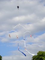 Click to see big picture (1536x2048 pixels; 625 KB)